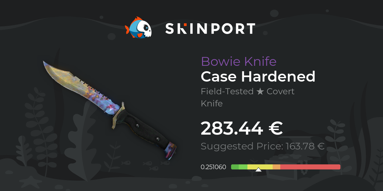 Bowie Knife Case Hardened (FieldTested) CSGO Skinport